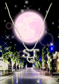 initial.29 S&T(Strawberry Moon)