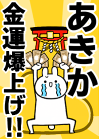 Fortune rise rabbiit[Akika]