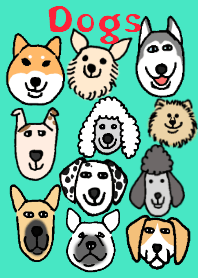 Dogs, large groups.