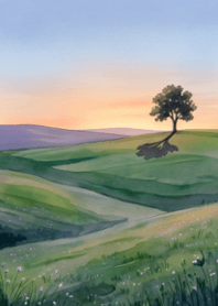 Campo roxo ao pôr do sol
