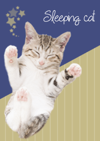お昼寝ねこ