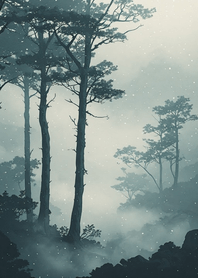 Foggy forest nzbh1o