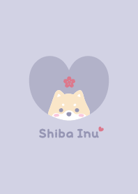 Shiba Inu2 Cherry blossoms - purple