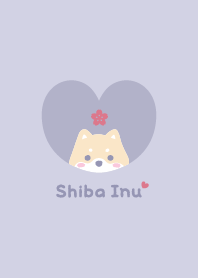 Shiba Inu2 Cherry blossoms / purple