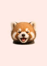 Fluffy, cuddly animals3