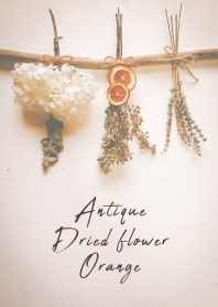 Antique Dried flower_Orange