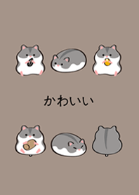 我養的小倉鼠(咖啡色)