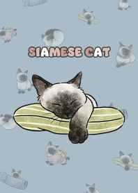 siamesecats4 / light steel blue