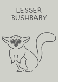 ショウガラゴ　シンプル グレー