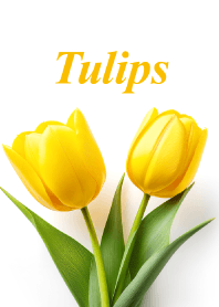Tulips vol.25