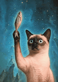 Starry Sky Mystery-Cat 1.5