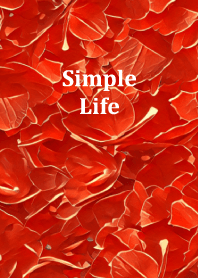 Simple Life 16