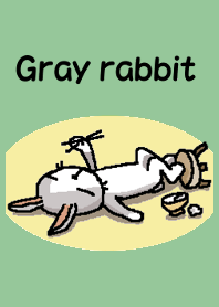Gray rabbit !
