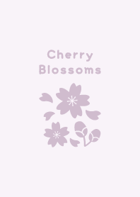 Cherry Blossoms13<PurplePink>