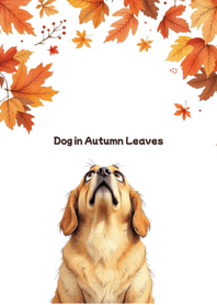 Dog in Autumn Leaves