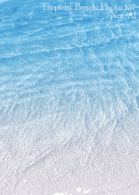 Tropical Beach Photo107 Not AI