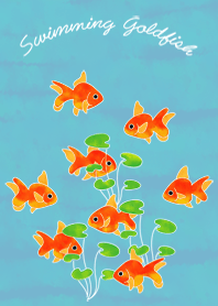 Swimming Goldfish