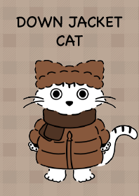 Cat wearing a down jacket plaid pattern