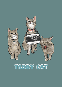 tabbycat11 - cadet blue