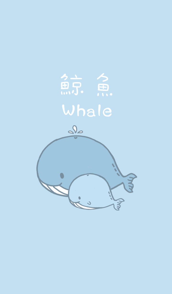 misty cat-Cute whale blue