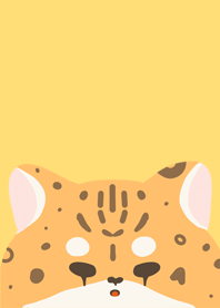 Cheetah's