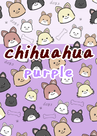 chihuahua theme16 purple white