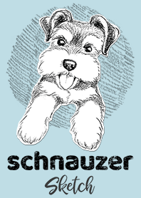 SCHNAUZER Sketch
