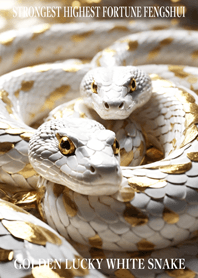 Golden Lucky White Snake 30