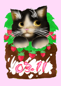 March 11~anniversary, birthday~