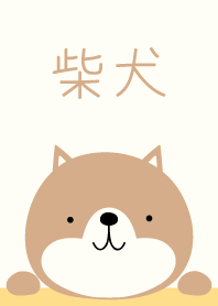 shiba dog