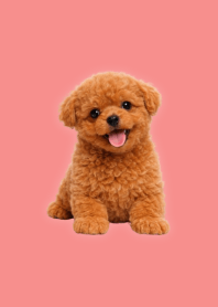 Tema Toy Poodle Boneka Red 01