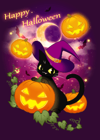 black cat night festival