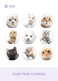 Paw Paw Camera -  Purple 06