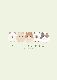 GUINEA PIG-GREEN 29