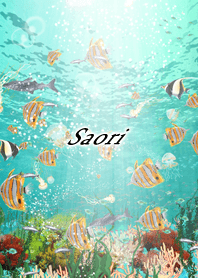 Saori Coral & tropical fish2