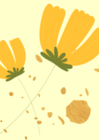 sunshine of my flowers.