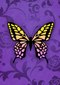 -Butterfly-