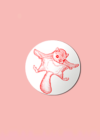 Simple flying squirrel button