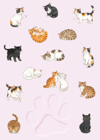 Cute cat illustrations.15