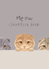 Meow - Scottish fold - GRAY