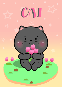 แมวดำ น่ารักกับสีพาสเทล