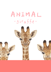ANIMAL - Giraffe - WHITE/RED