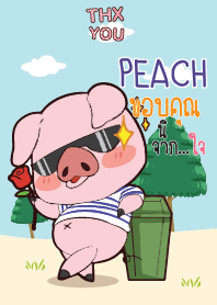 PEACH Thx U_S V08 e