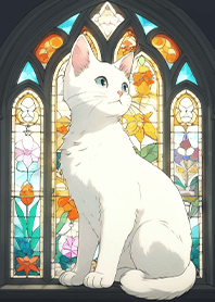컬러 햇살과 흰 고양이 2.1