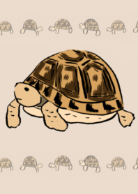 Tortoise theme No.2