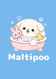 柔軟馬爾泰迪主題3 Blue 01