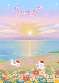 Sweet sunset