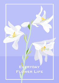 Everyday Flower Life_ Lily