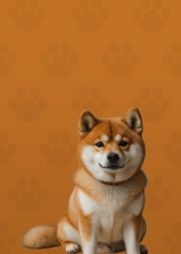 Cute Shibainu Theme Brown 05