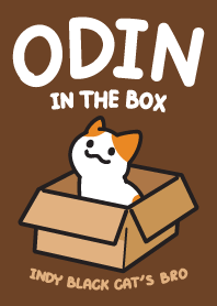 ODIN in the Box. (Indy black cat's Bro)